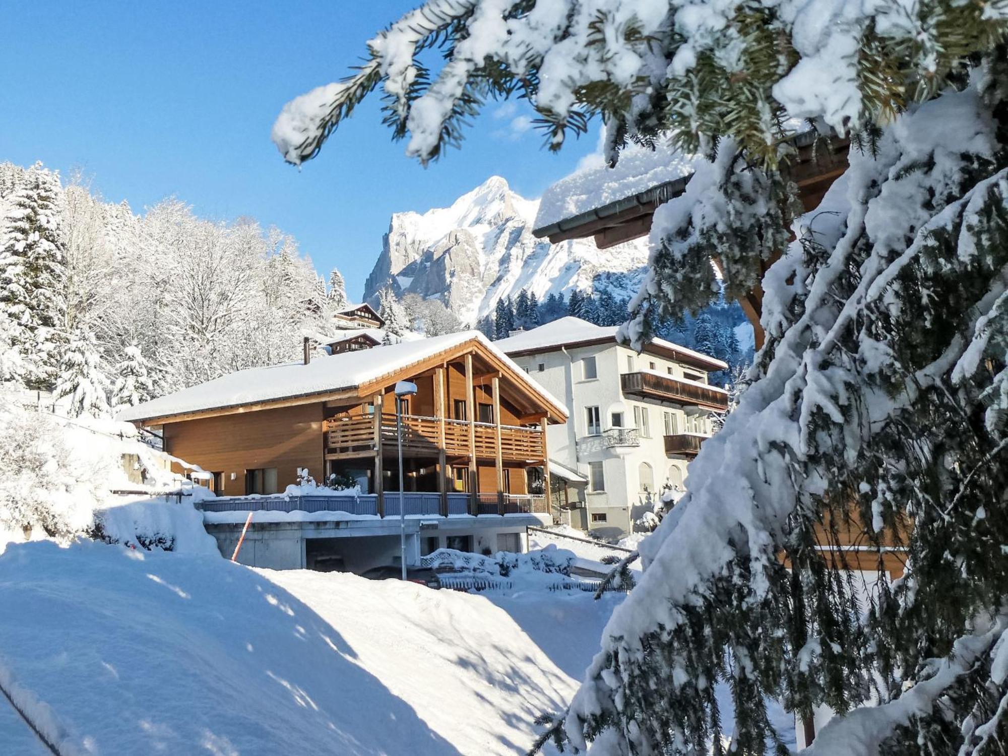 Apartment Chalet La Muntaniala By Interhome Гріндельвальд Екстер'єр фото